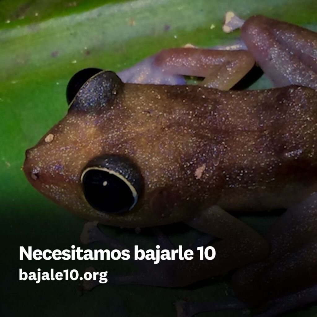 Necesitamos bajarle 10