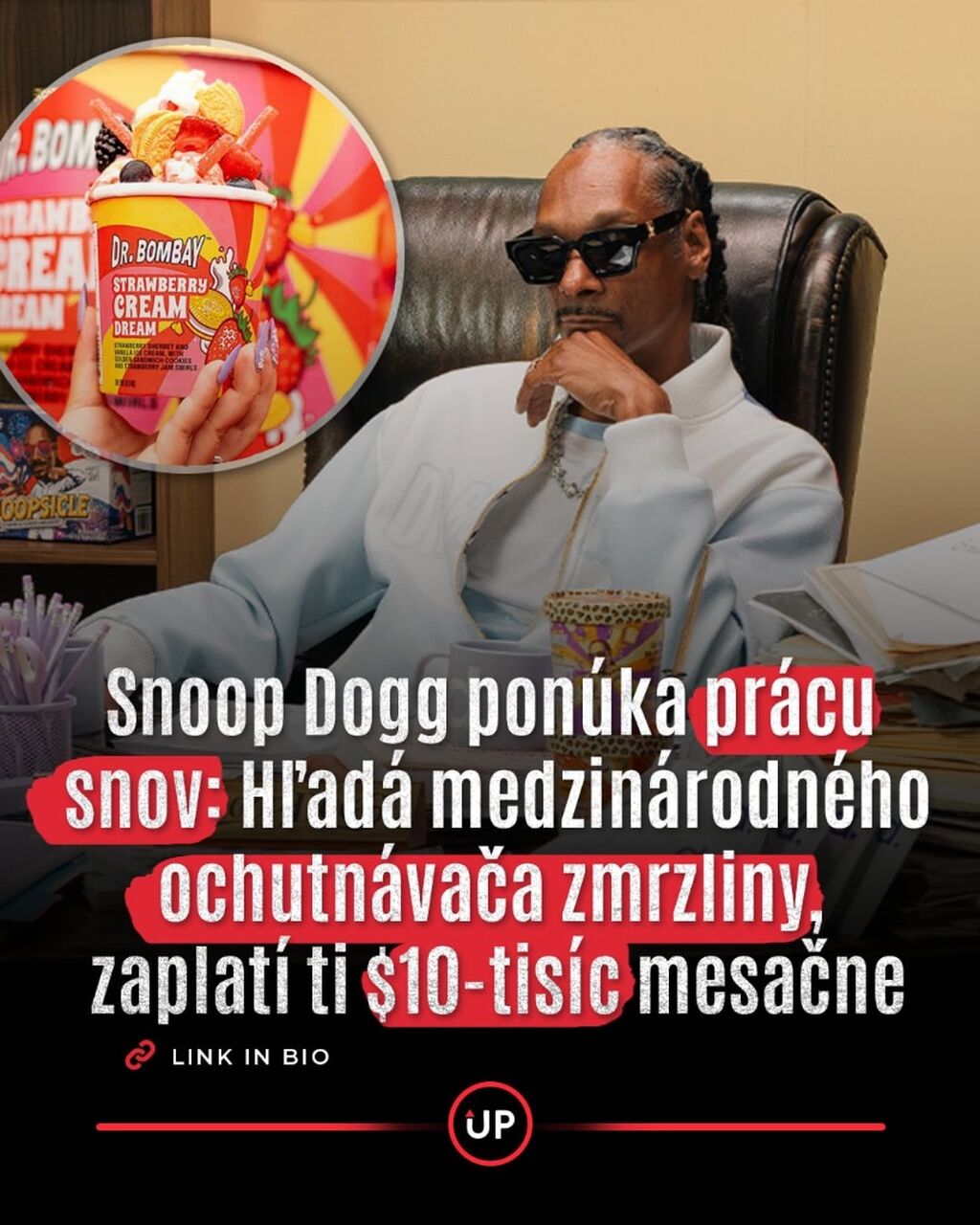 Snoop Dogg pon&uacute;ka pr&aacute;cu snov: Hľad&aacute; medzin&aacute;rodn&eacute;ho ochutn&aacute;vača zmrzliny, zaplat&iacute; ti $10 tis&iacute;c mesačne