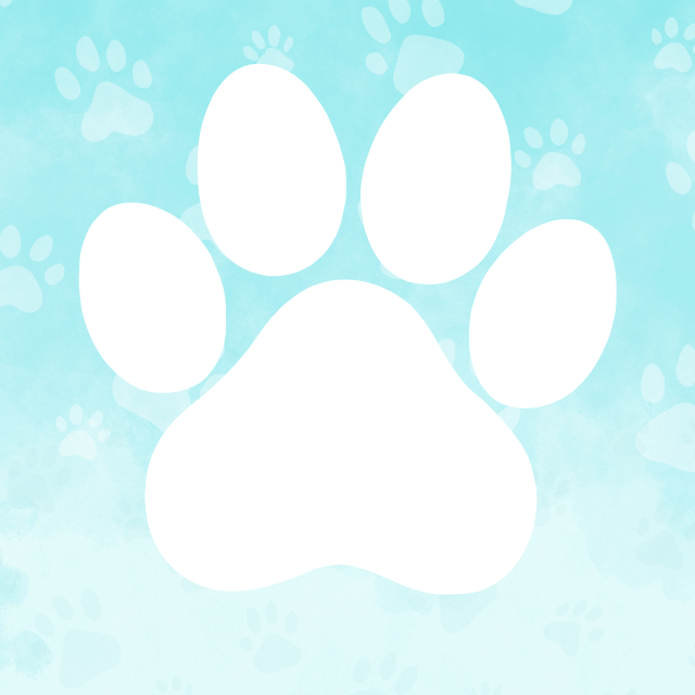 Pet Loss and Grief Support Group