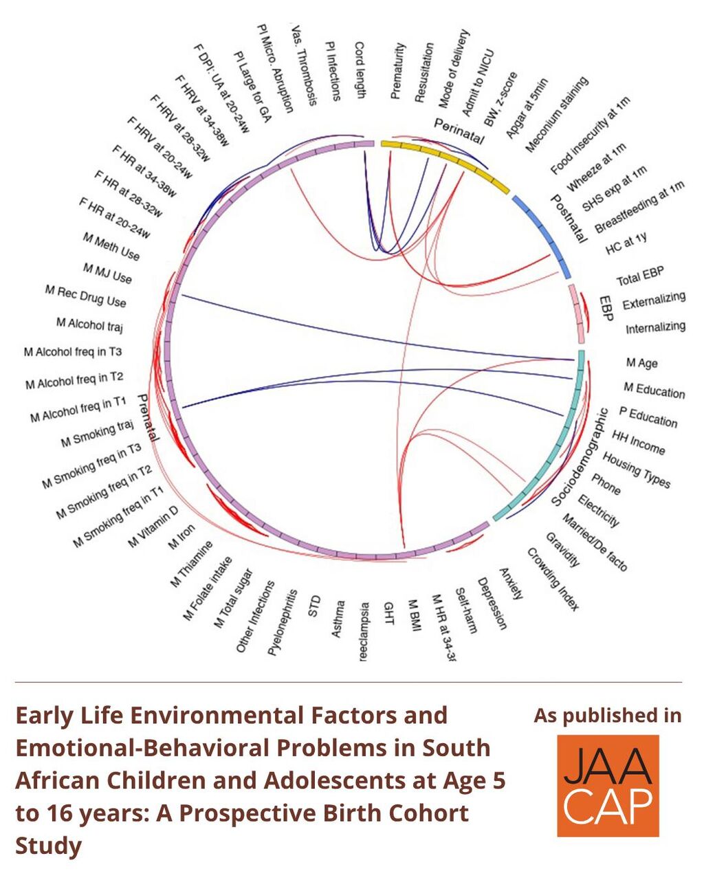 Early Life Environmental Factors and Emotional-Behavioral Problems in South African Children and Adolescents at Age 5 to 16 years: A Prospective Birth Cohort Study