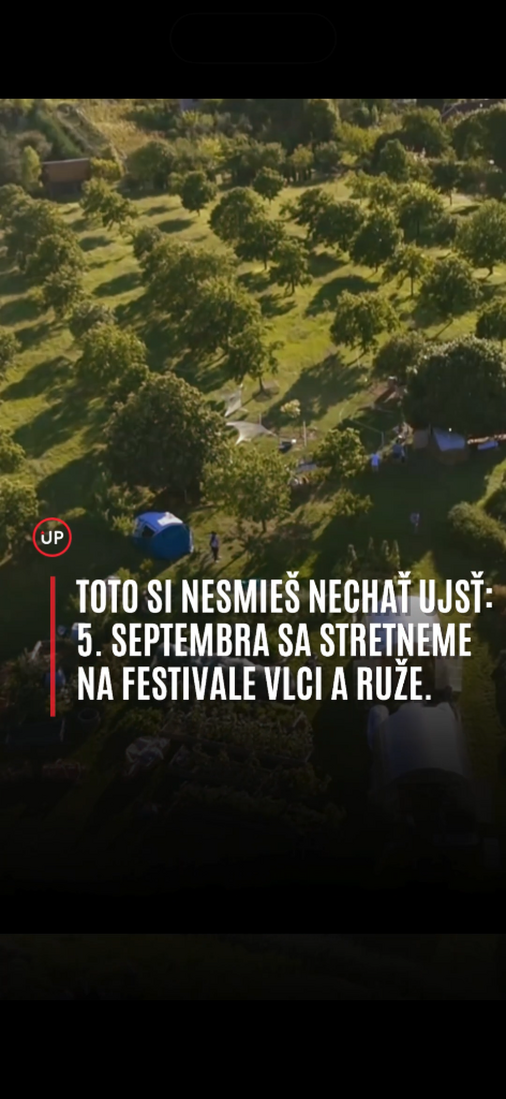 Vlci a ruže 2026