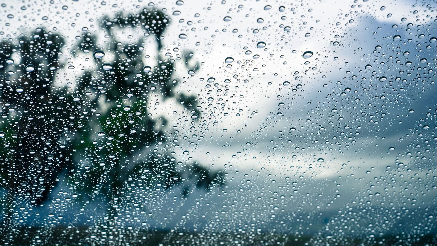 Heavy Rainfall Warning: 50 to 80mm (Posted 9am Sep 24)