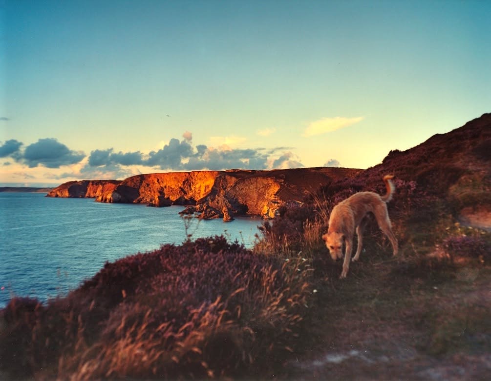 Emma Hardy Cornwall