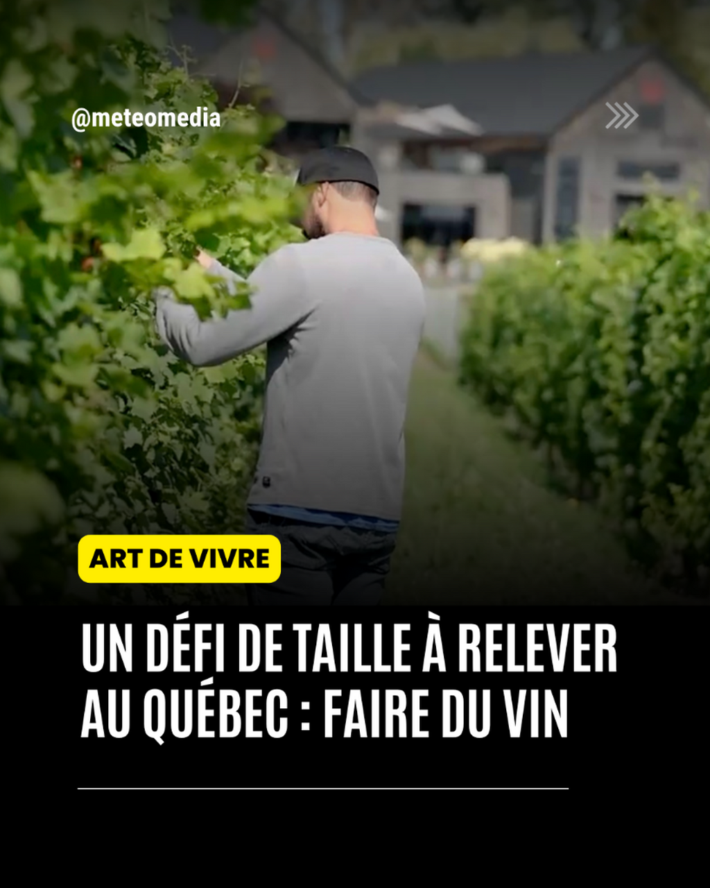Un d&eacute;fi de taille &agrave; relever au Qu&eacute;bec : faire du vin