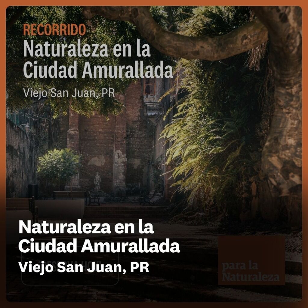 Naturaleza en la Ciudad Amurallada