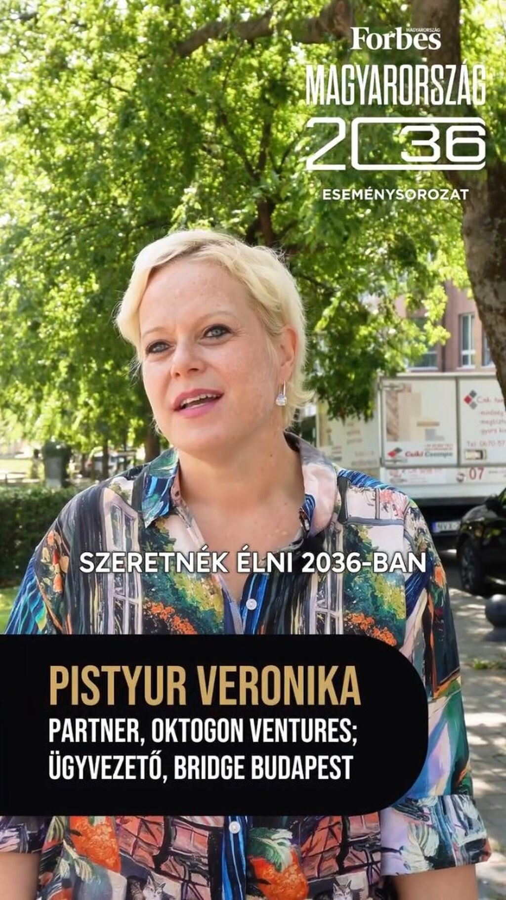 Pistyur vidi
