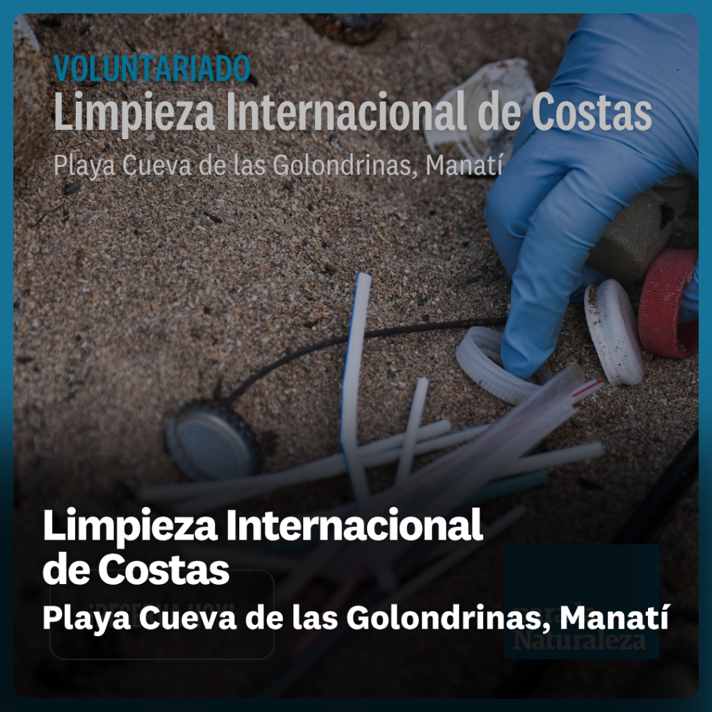 Limpieza Internacional  de Costas - Playa Cueva de las Golondrinas, Manat&iacute;