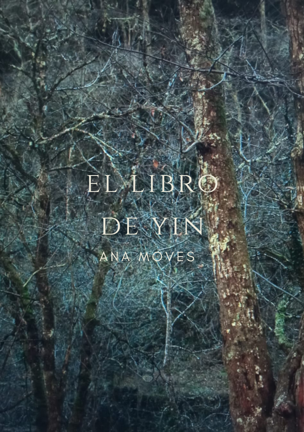 El Libro de Yin (en papel)