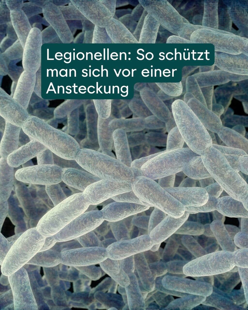 Legionellen: So sch&uuml;tzt man sich vor einer Ansteckung