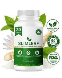 Best Weight Loss Probiotic Supplement