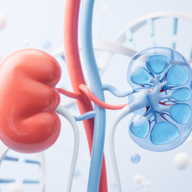 Urology awareness month