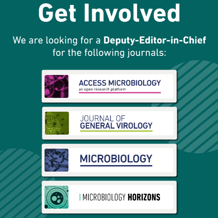  Deputy Editor-in-Chief roles