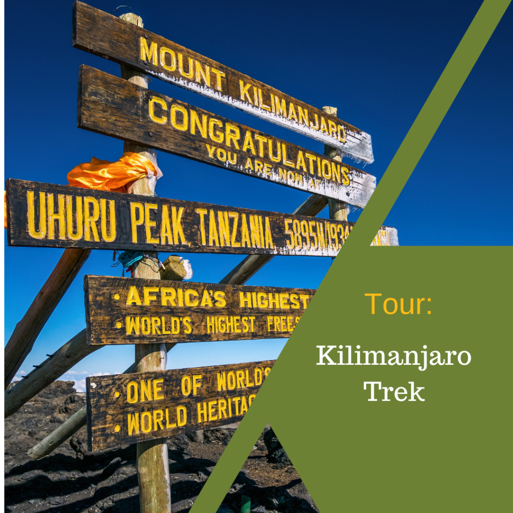 Kilimanjaro Trek