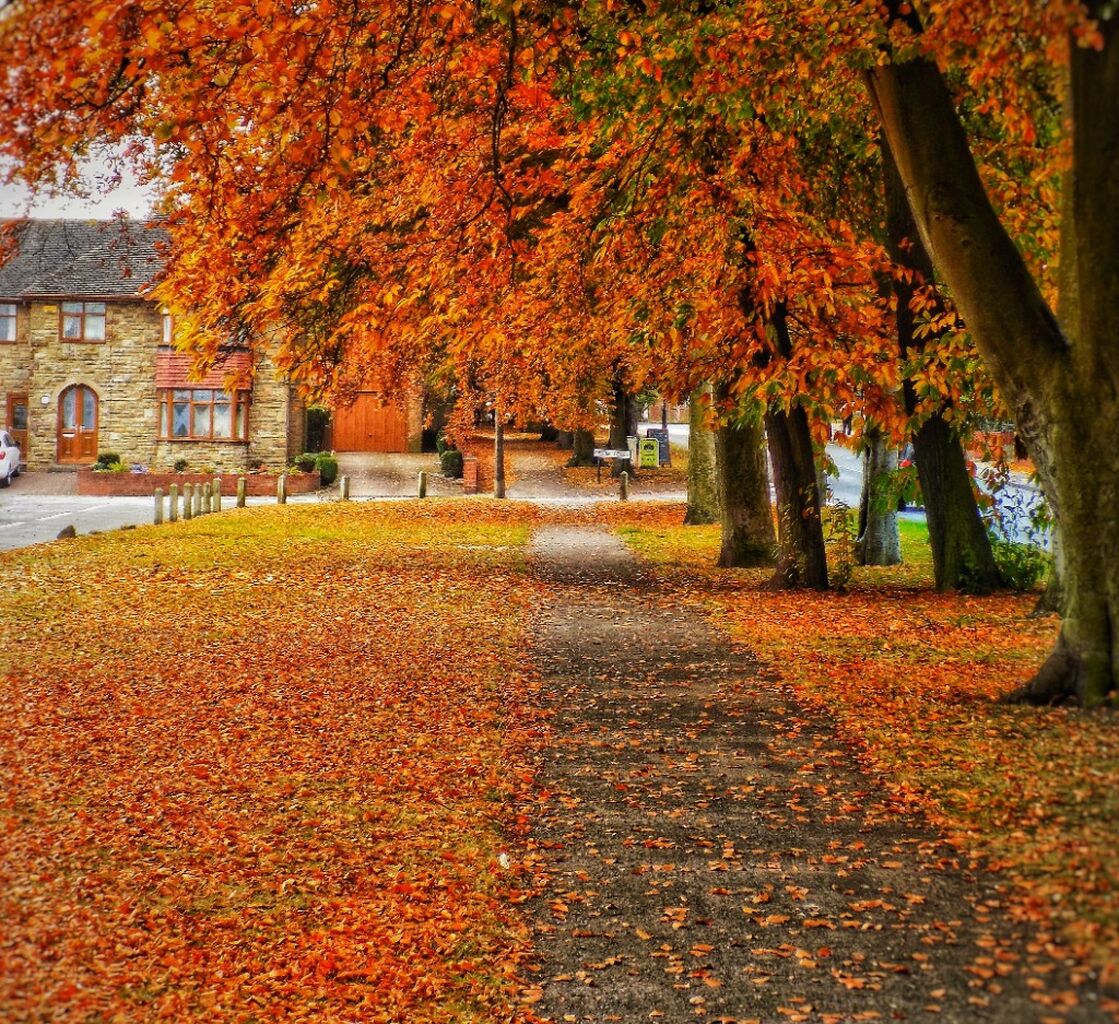 Is autumn the new spring for selling