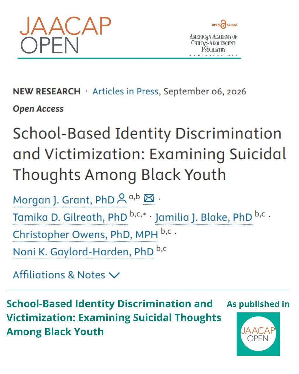 School-Based Identity Discrimination and Victimization: Examining Suicidal Thoughts Among Black Youth