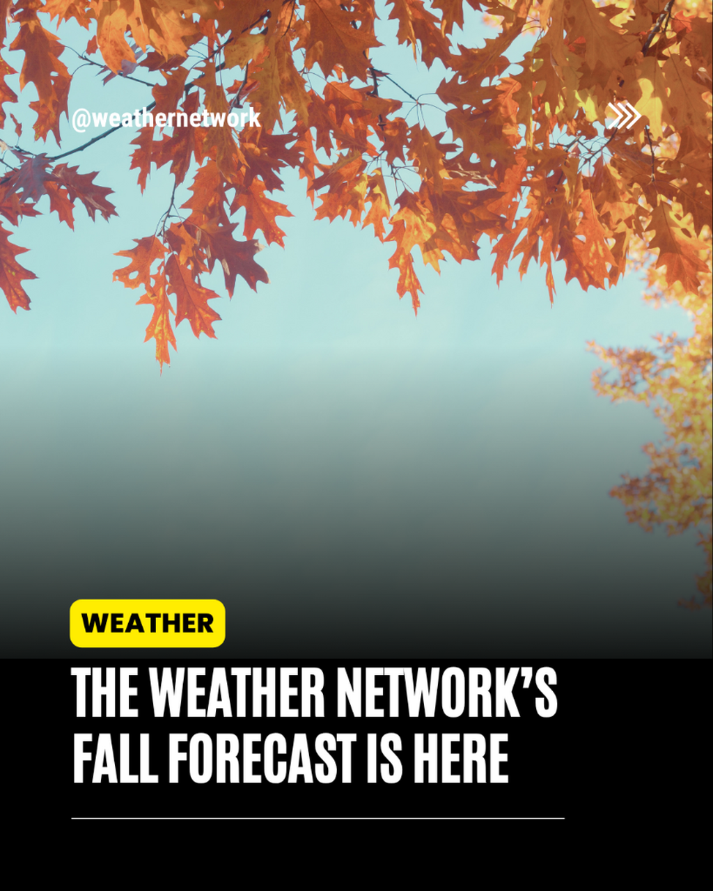 Our fall forecast is here!