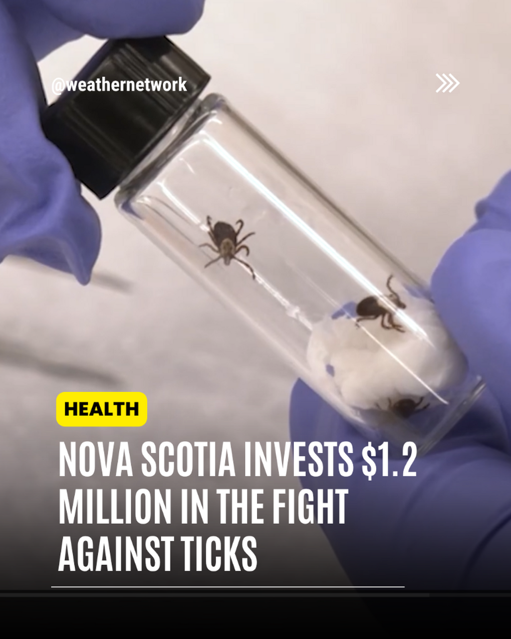 Nova Scotia invests $1.2 million in the fight against ticks