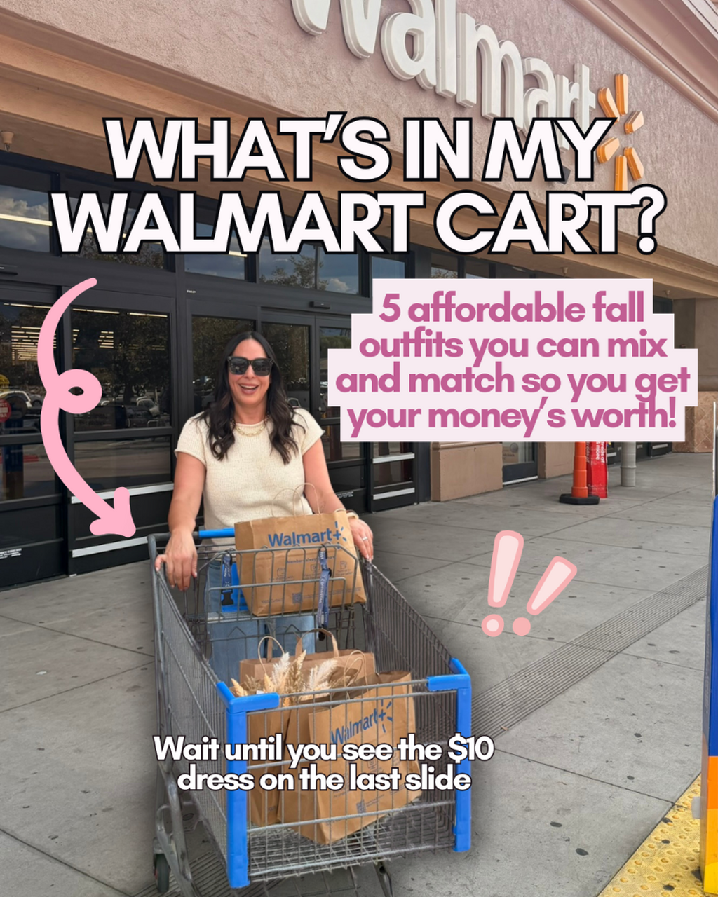 What&rsquo;s in My Walmart Cart?