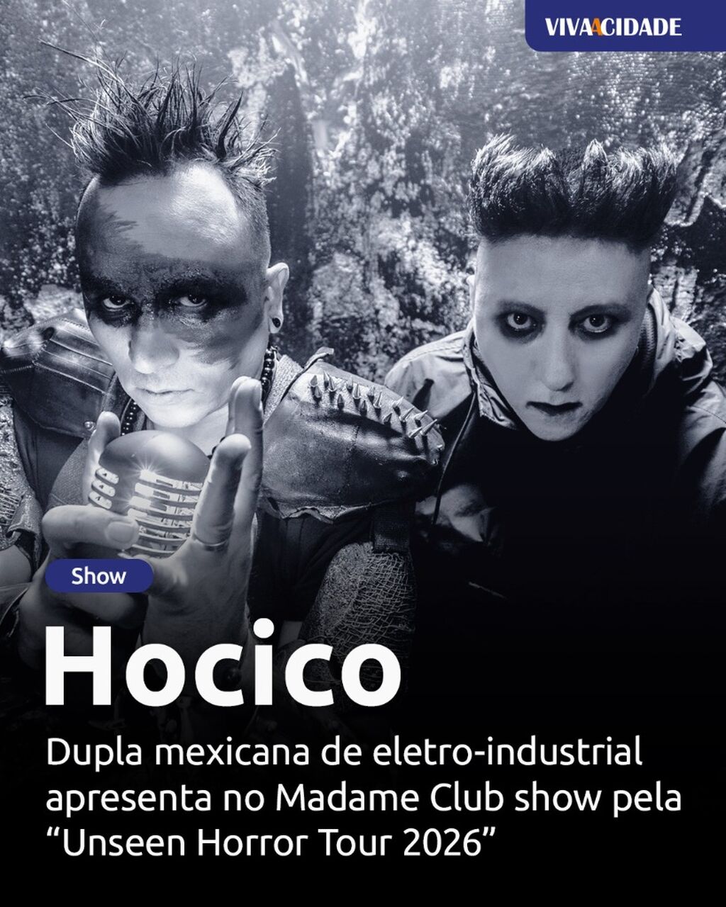 Hocico