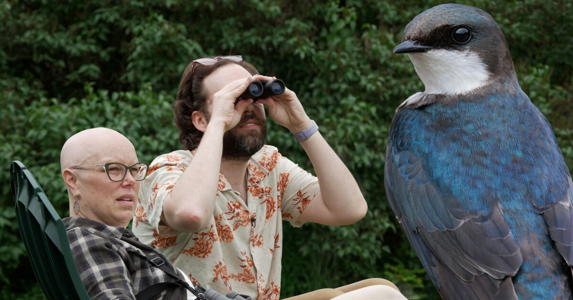 From window watcher to birder: My first steps