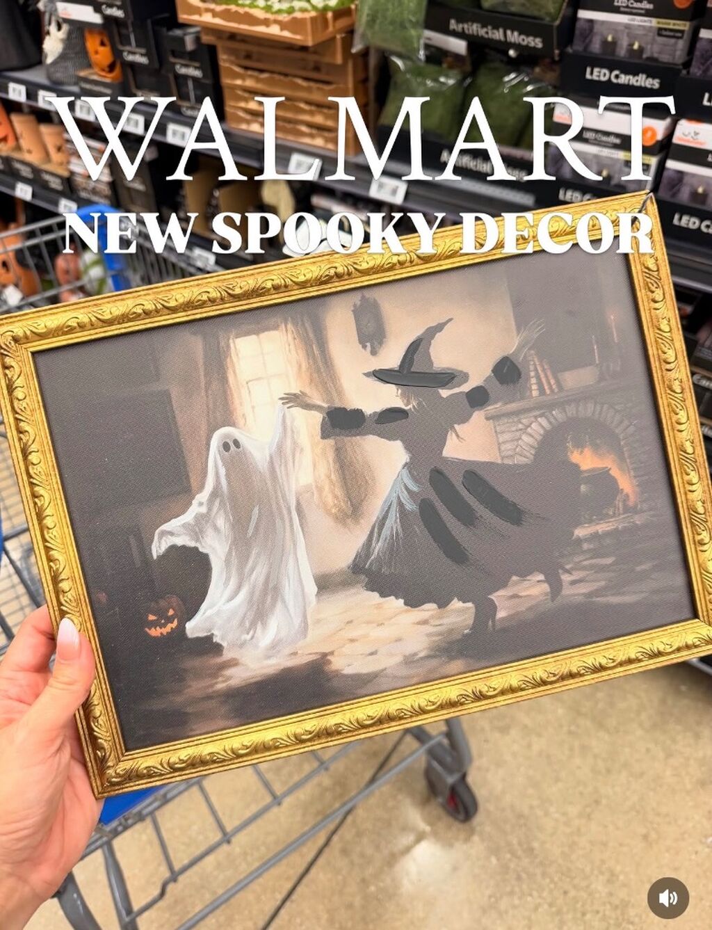 New spooky decor