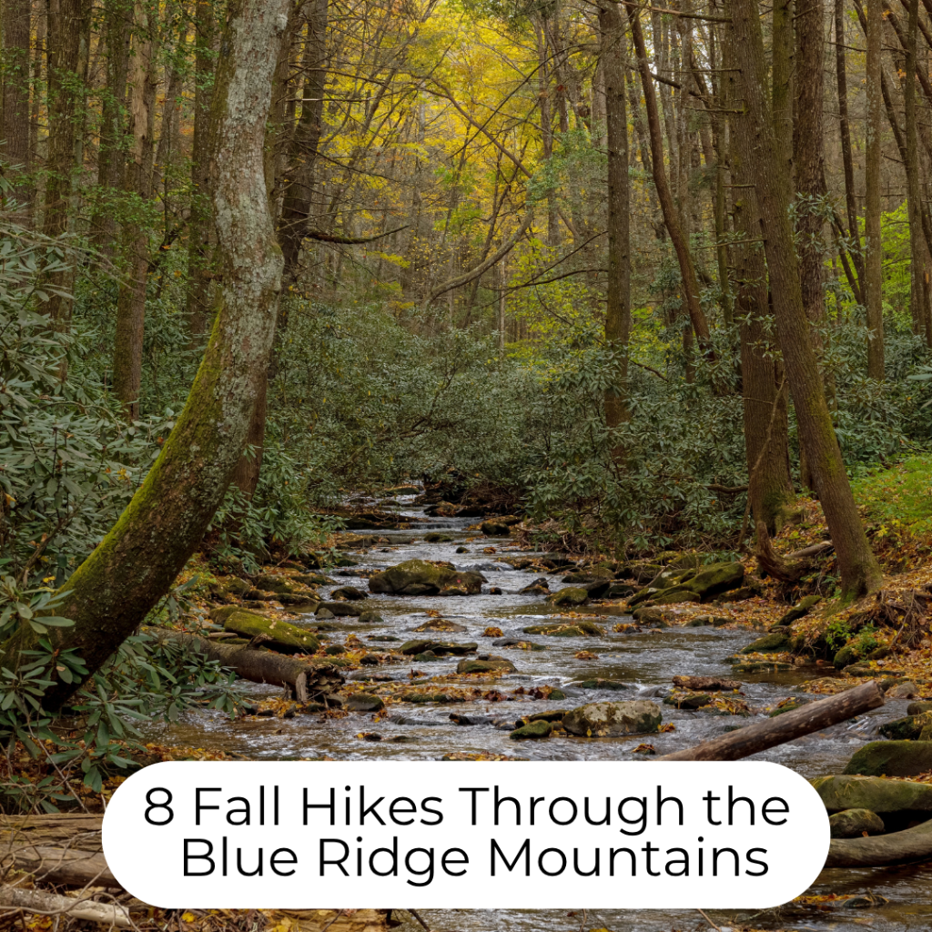 8 Fall Hikes Through the Blue Ridge Mountains