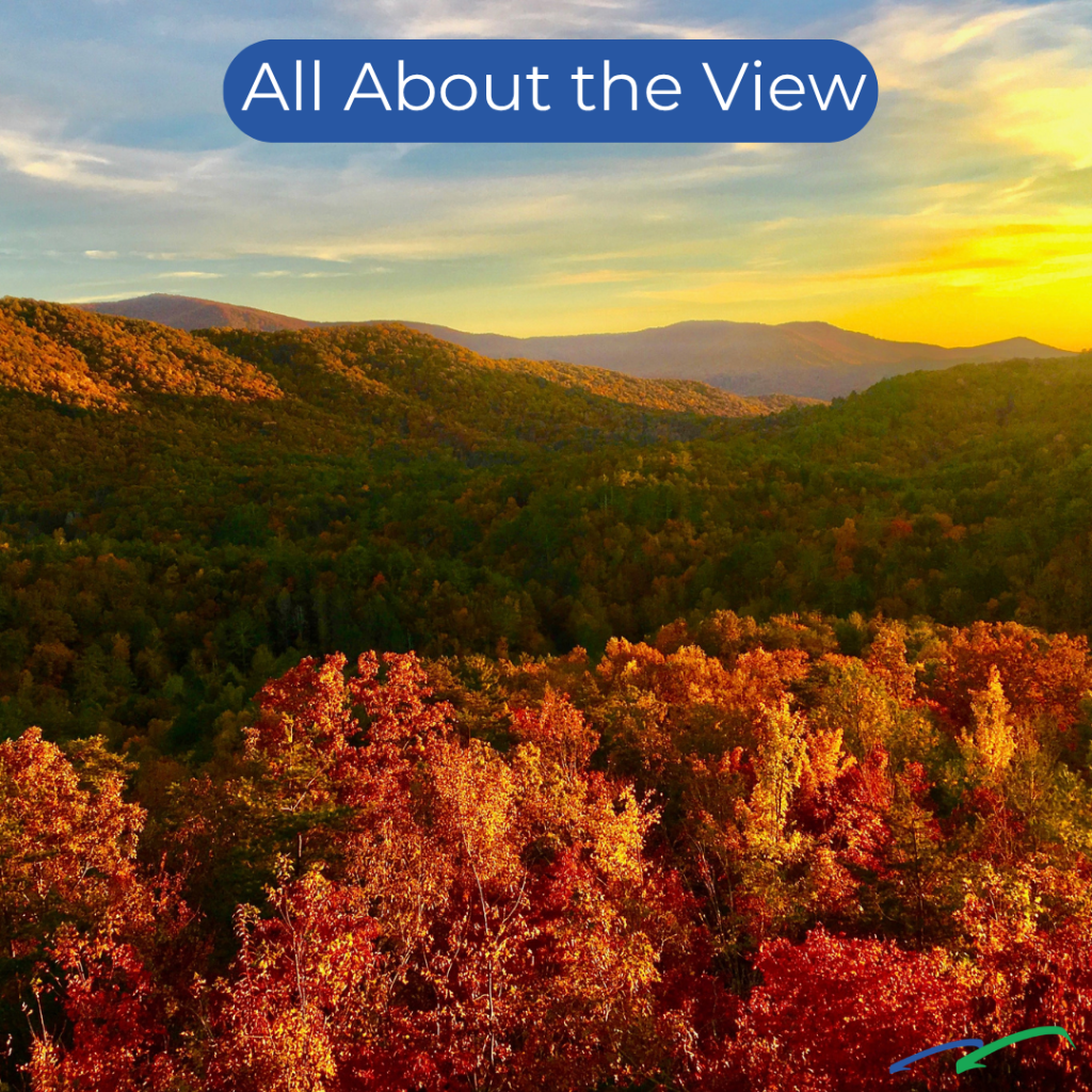 All About the View