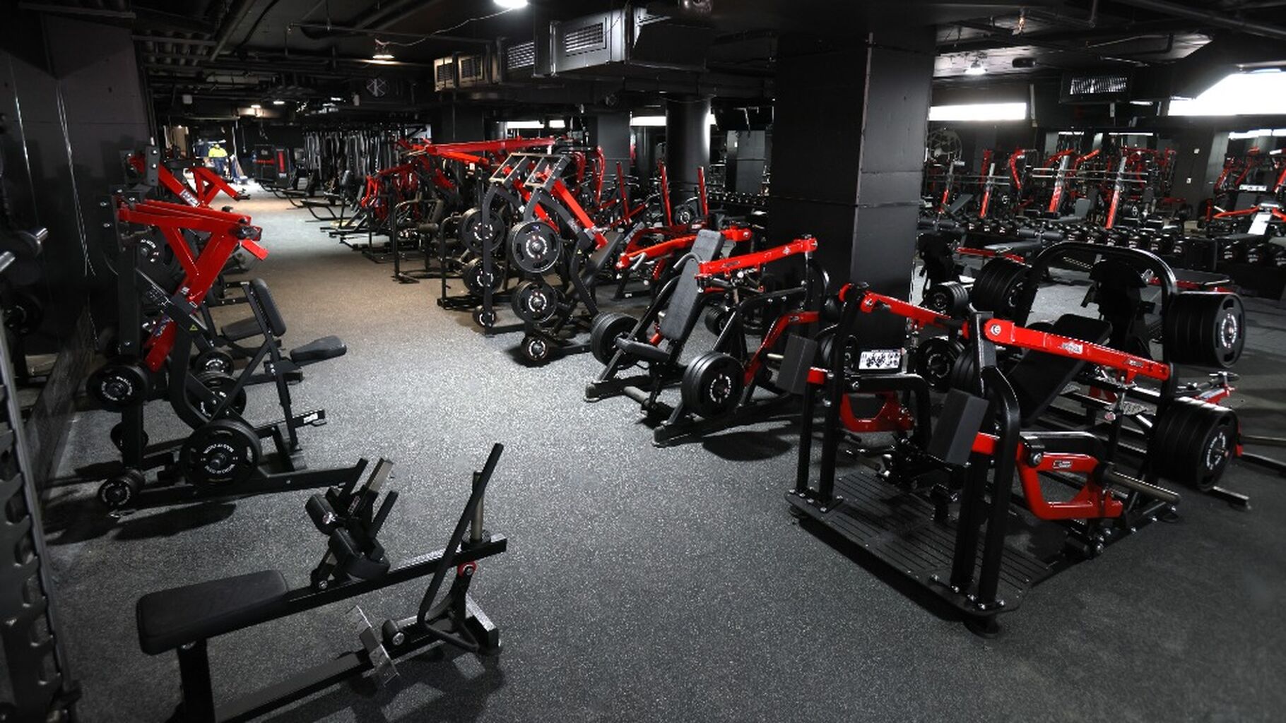 Gym membership - $40/WK