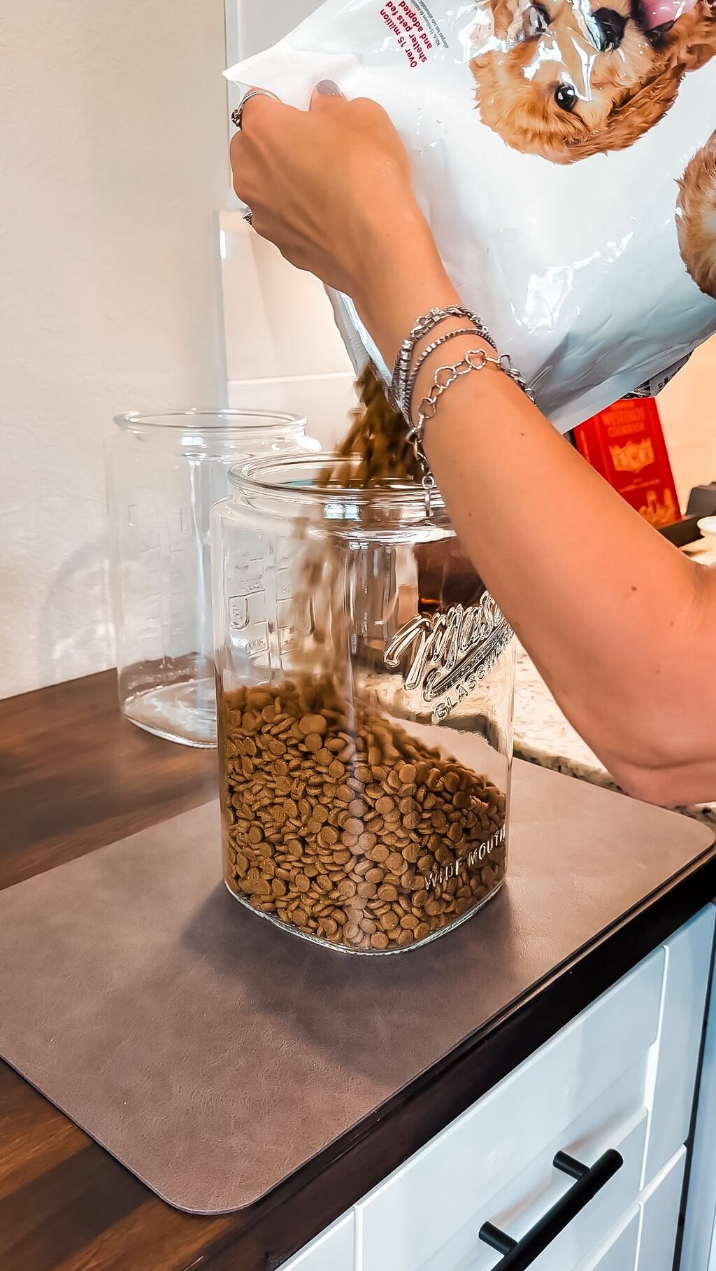 GLASS JAR CONTAINER FOR DOG FOOD