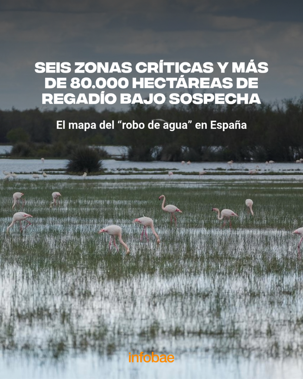 El mapa del &ldquo;robo de agua&rdquo; en Espa&ntilde;a: seis zonas cr&iacute;ticas y m&aacute;s de 80.000 hect&aacute;reas de regad&iacute;o bajo sospecha