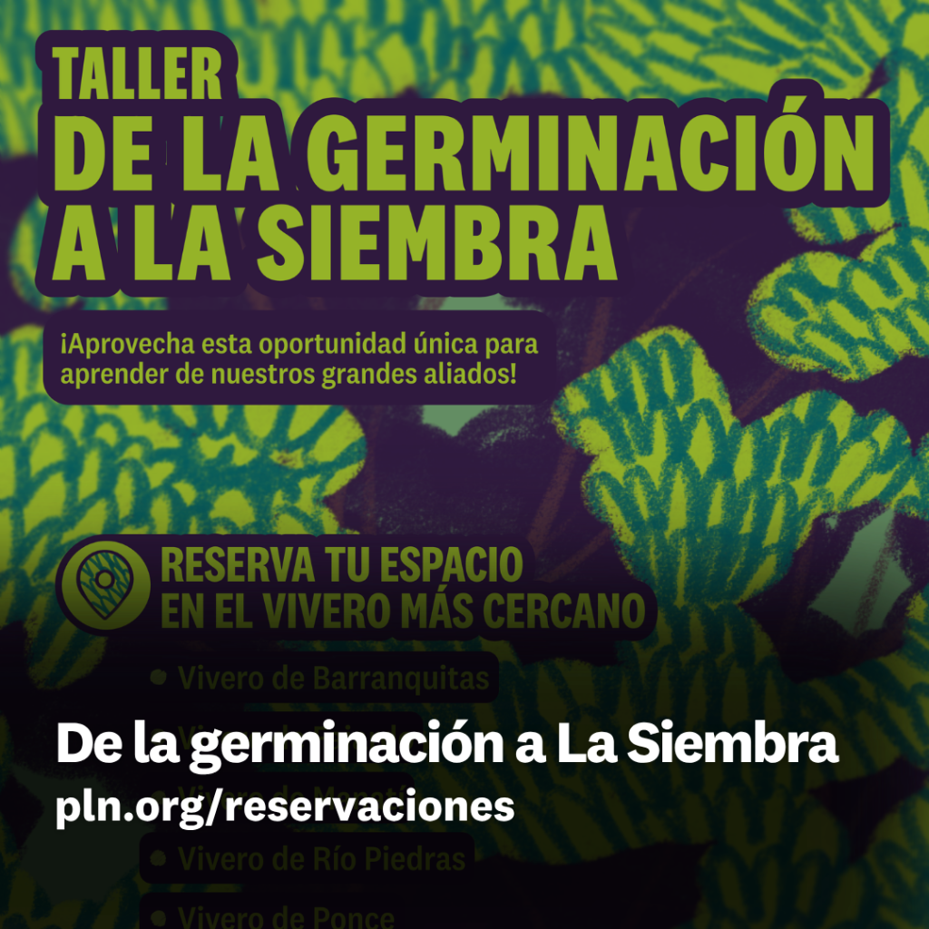 De la germinaci&oacute;n a La Siembra