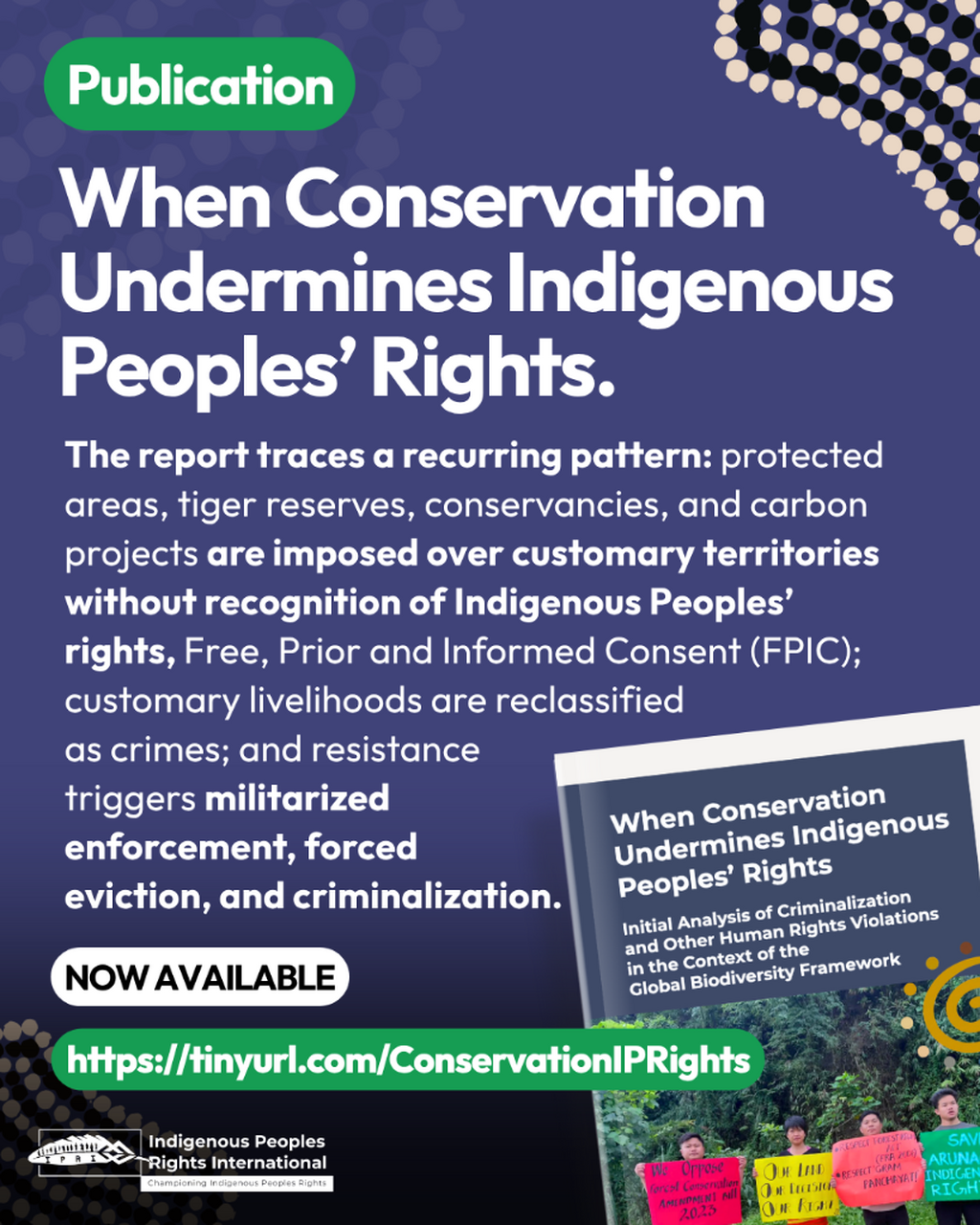 When Conservation Undermines Indigenous Peoples&rsquo; Rights. Initial Analysis of Criminalization and Other Human Rights Violations in the Context of the Global Biodiversity Framework