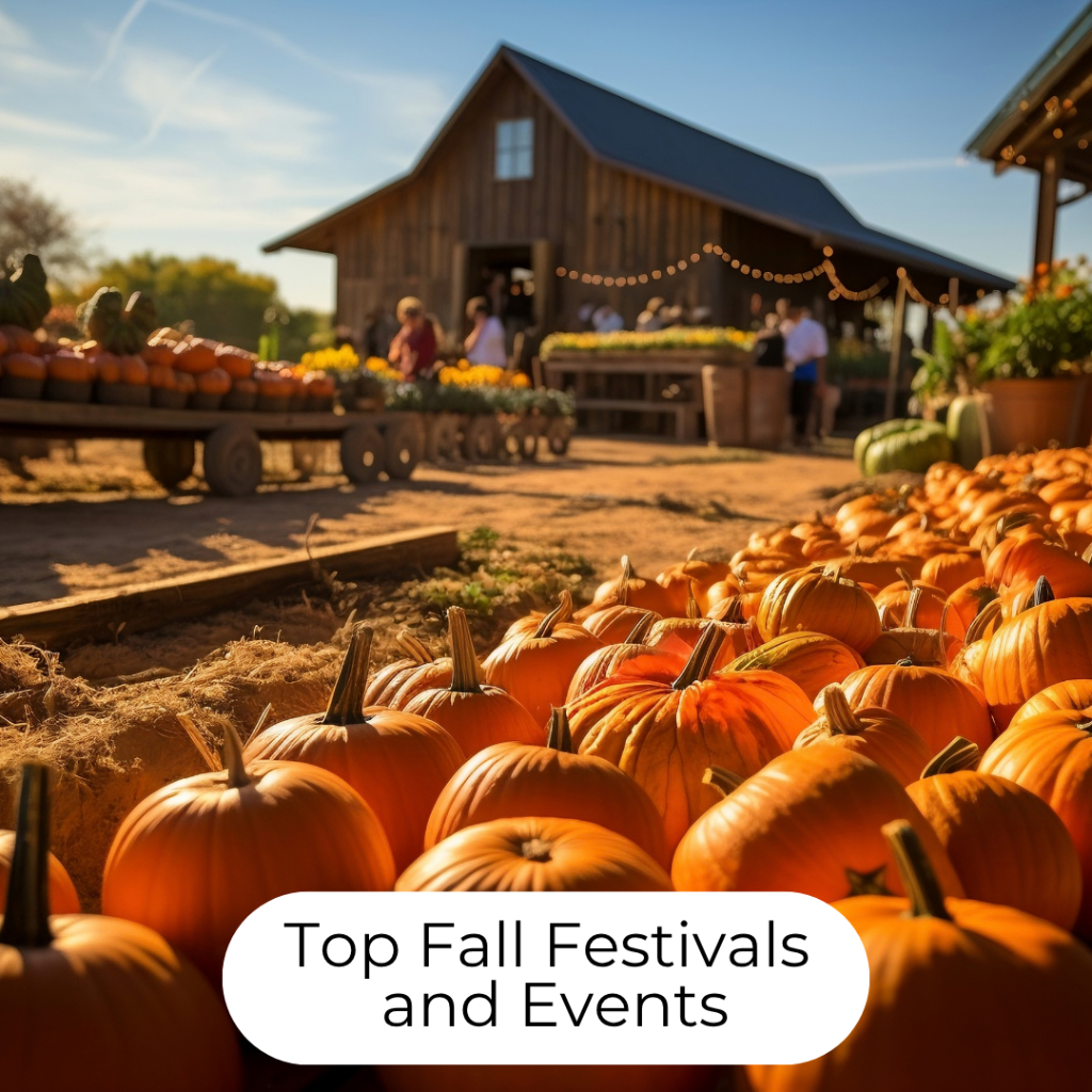 Top Fall Festivals & Events