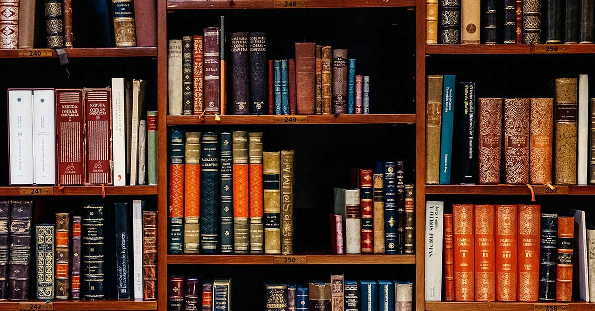 Albers-Alexander LGBTQ Law Scholarship