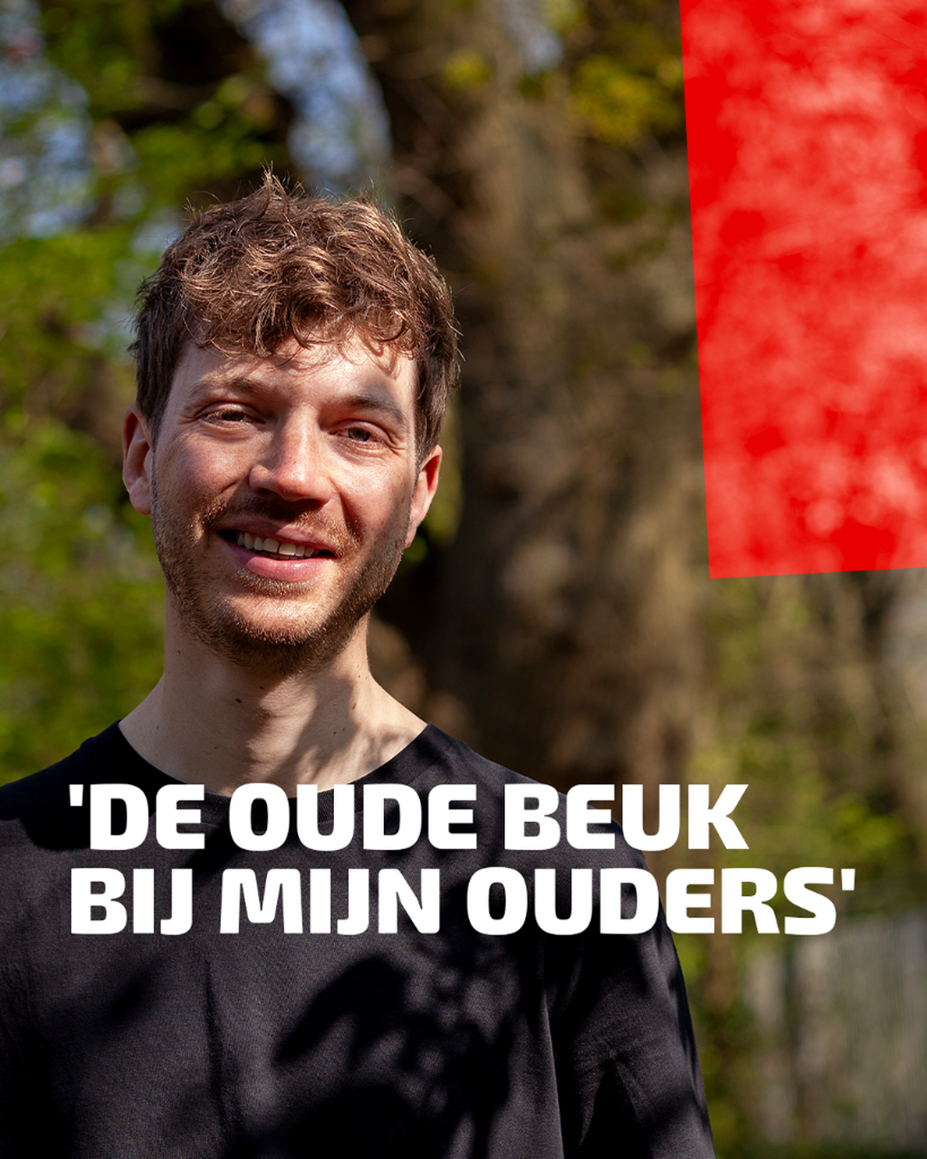 Jan van Poppel over de gevolgen van een veranderend klimaat: 'De oude beuk bij mijn ouders'