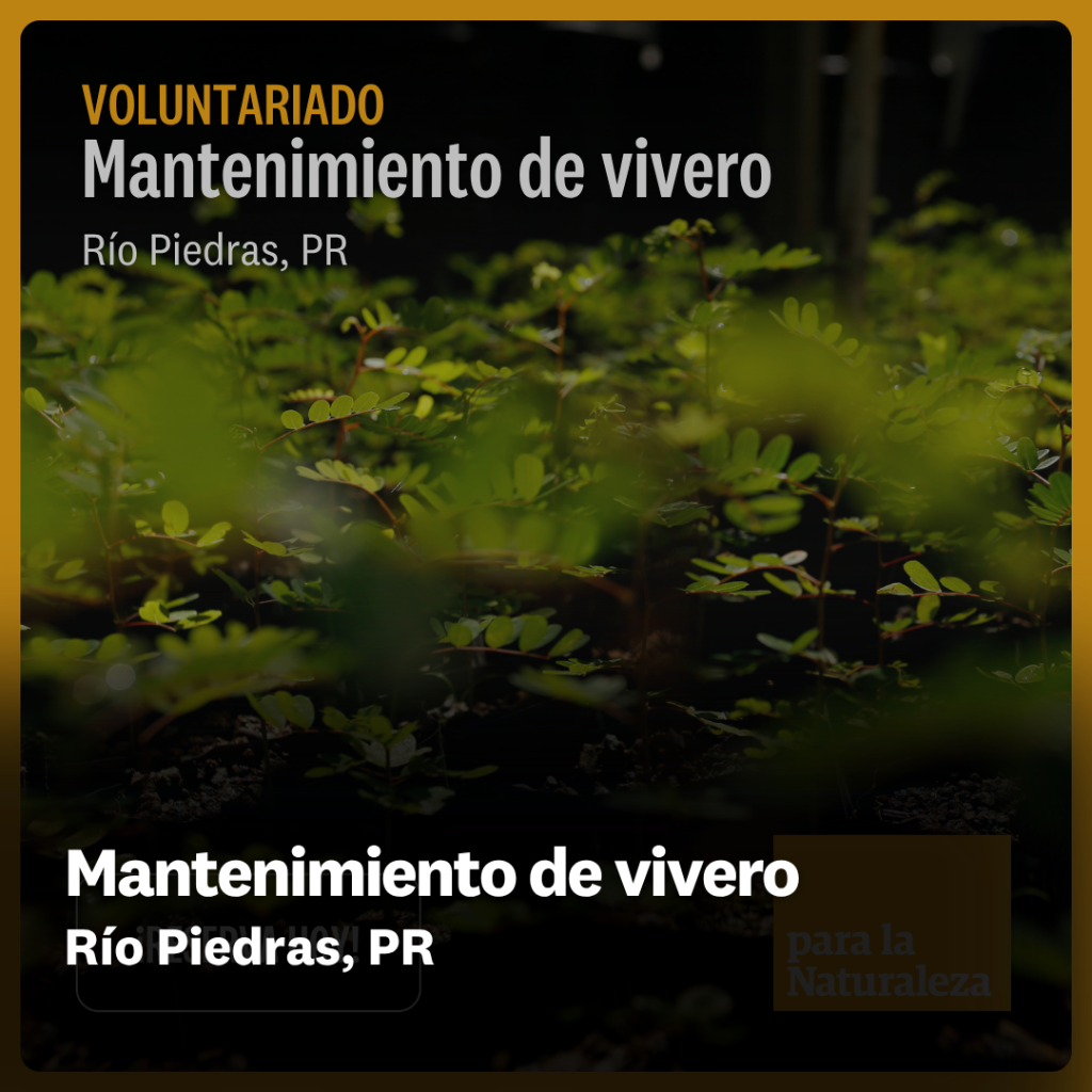 Mantenimiento de vivero - R&iacute;o Piedras