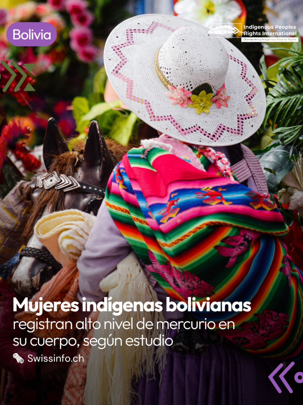 🇧🇴Mujeres ind&iacute;genas bolivianas registran alto nivel de mercurio en su cuerpo, seg&uacute;n estudio