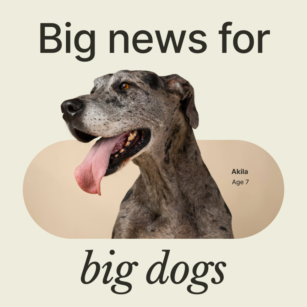 Longer lives for bigger dogs? Loyal earns third RXE acceptance from the FDA