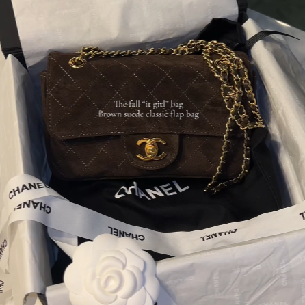 Chanel dark brown mini classic flap ; create an account and use my discount ( Lux) 