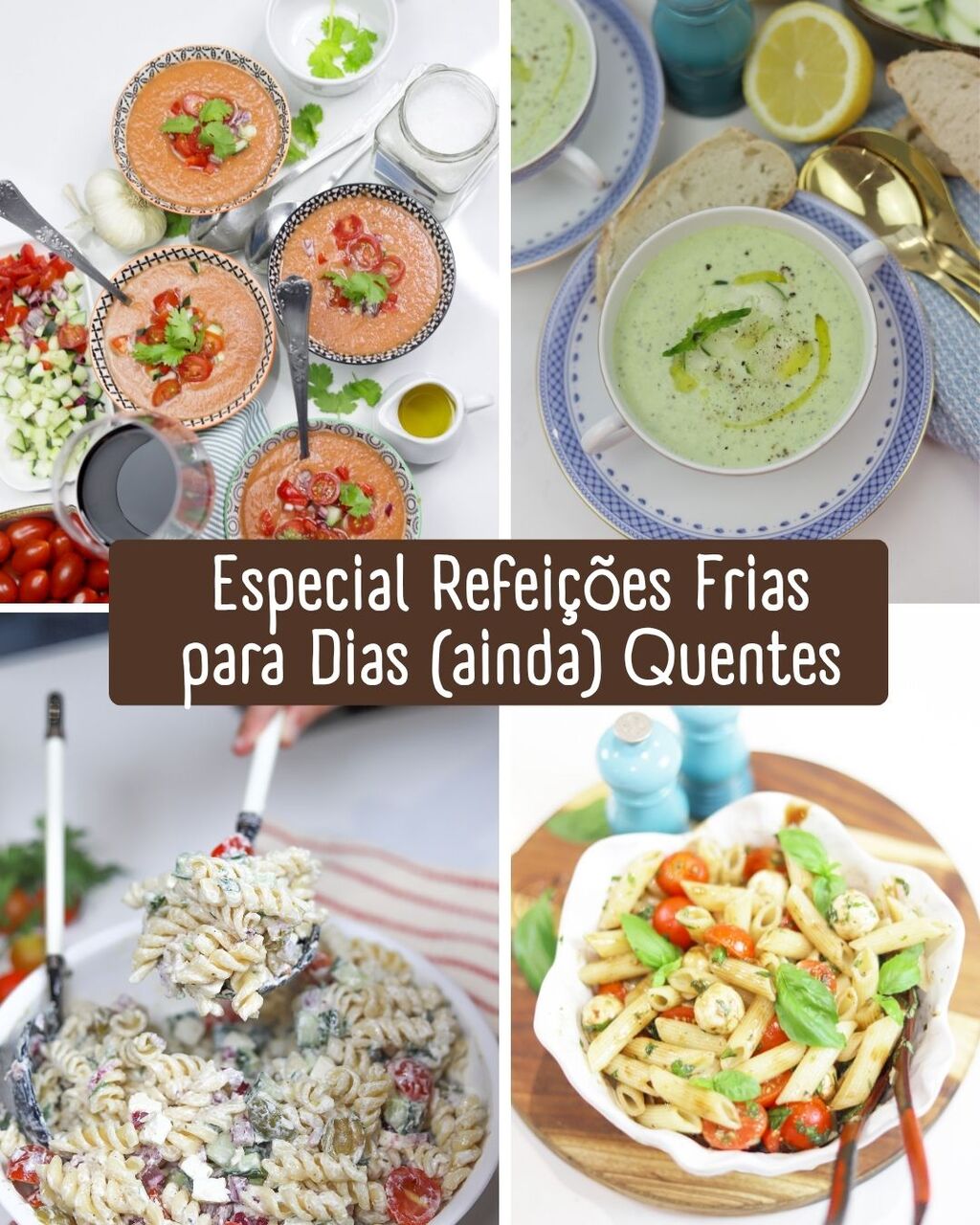 especial ref frias