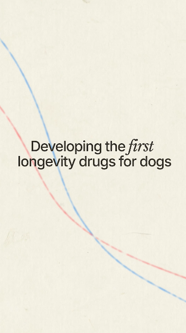  Loyal's Approach to Aging