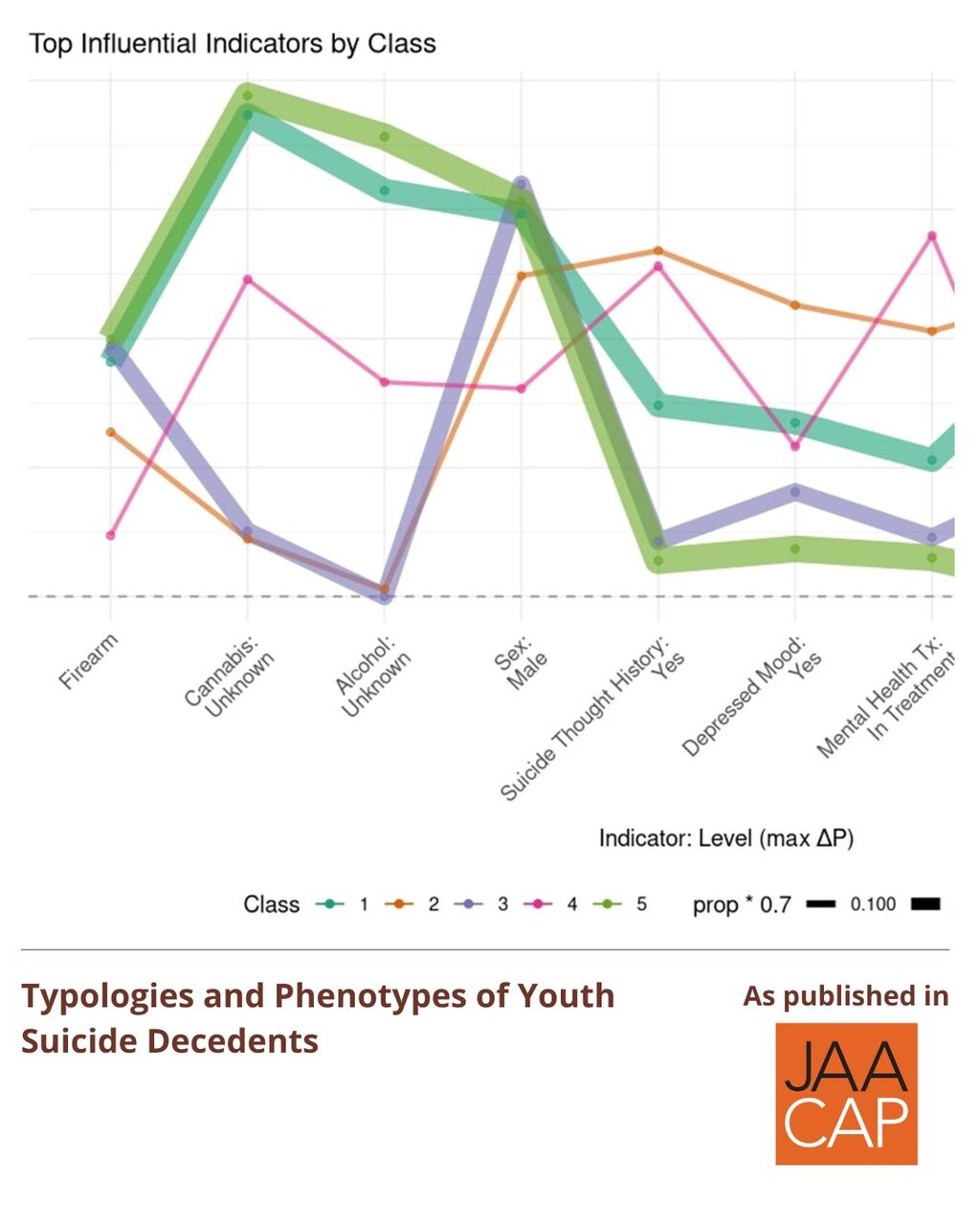 Typologies and Phenotypes of Youth Suicide Decedents