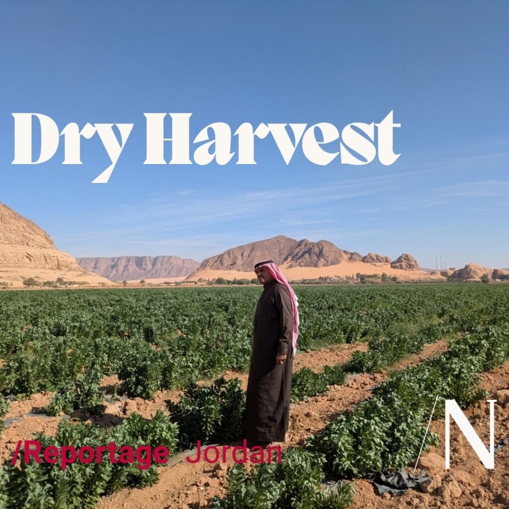 Water Scarcity in Jordan Is Causing an Agricultural Crisis