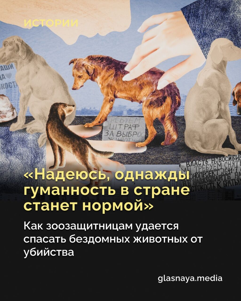 &laquo;Надеюсь, однажды гуманность в стране станет нормой&raquo;