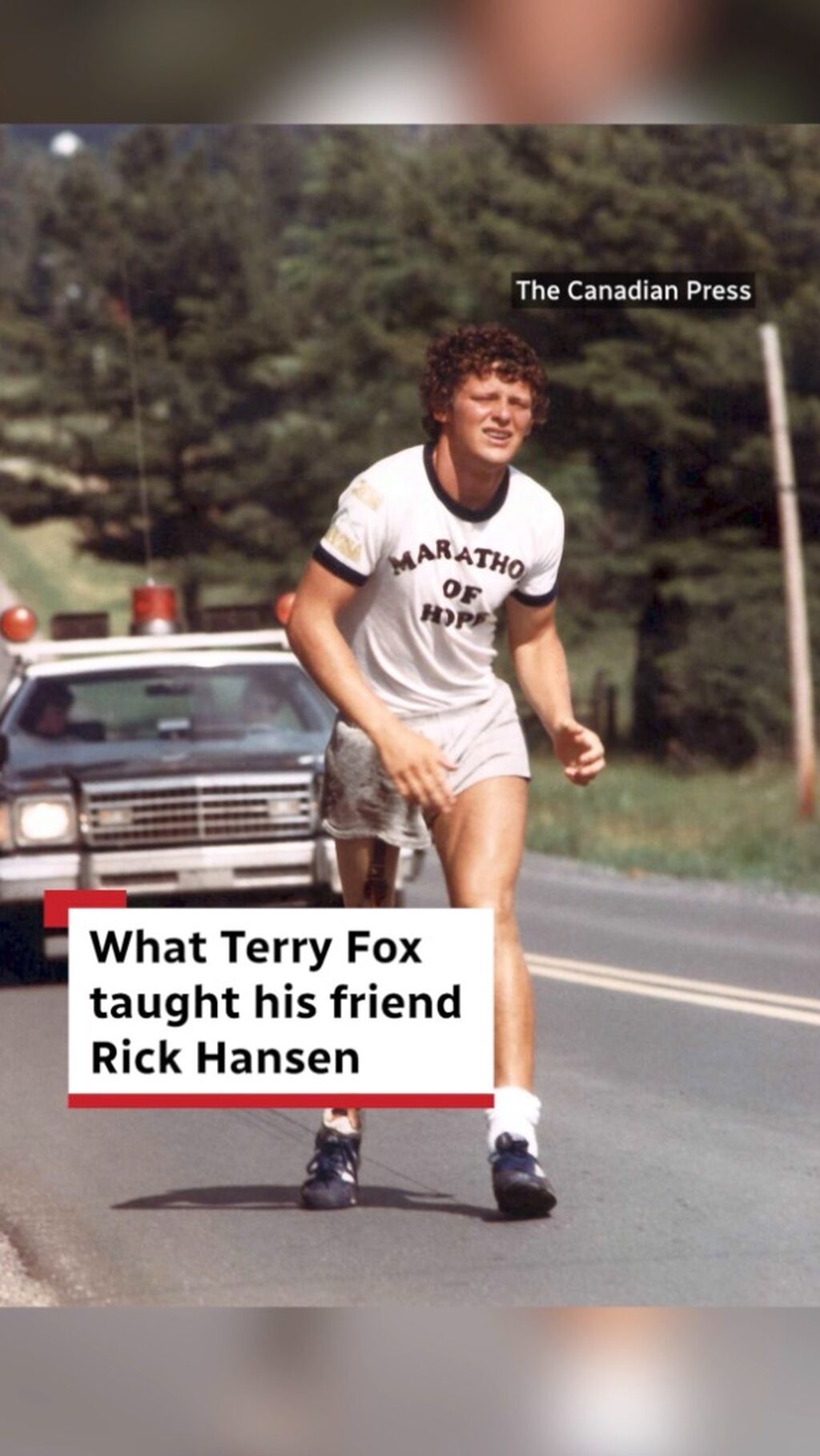 the current - terry fox