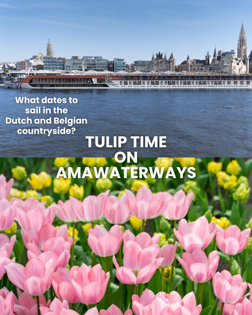 Tulip Time on AmaWaterways