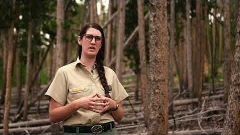 Burnt Beaver Watershed Restoration project