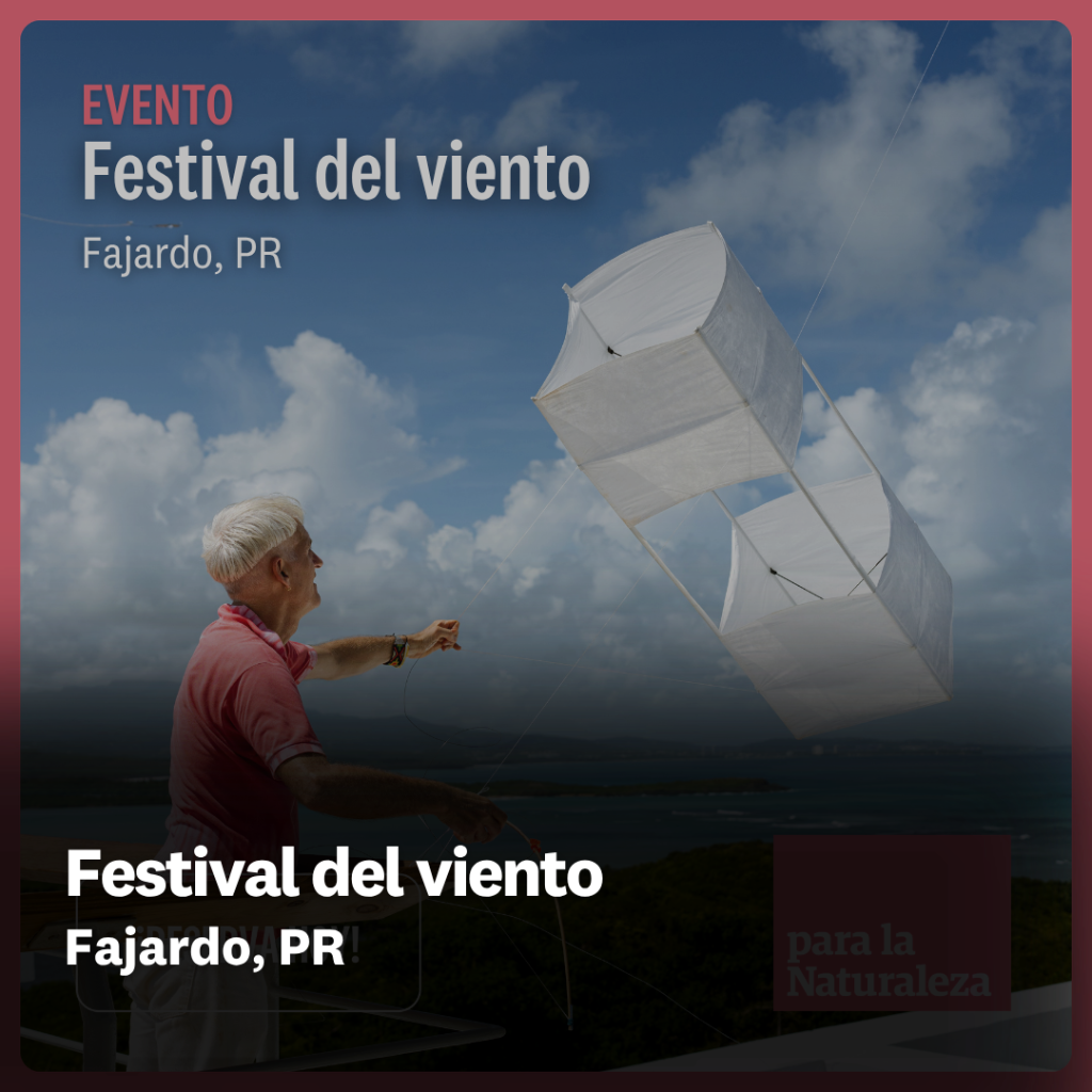 Festival del viento