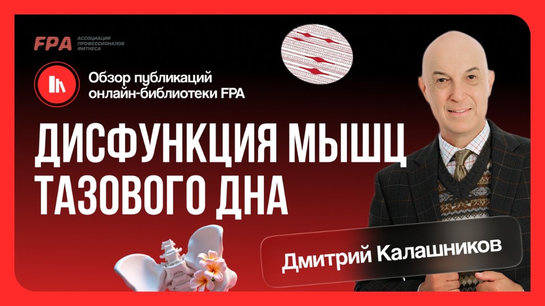 статья