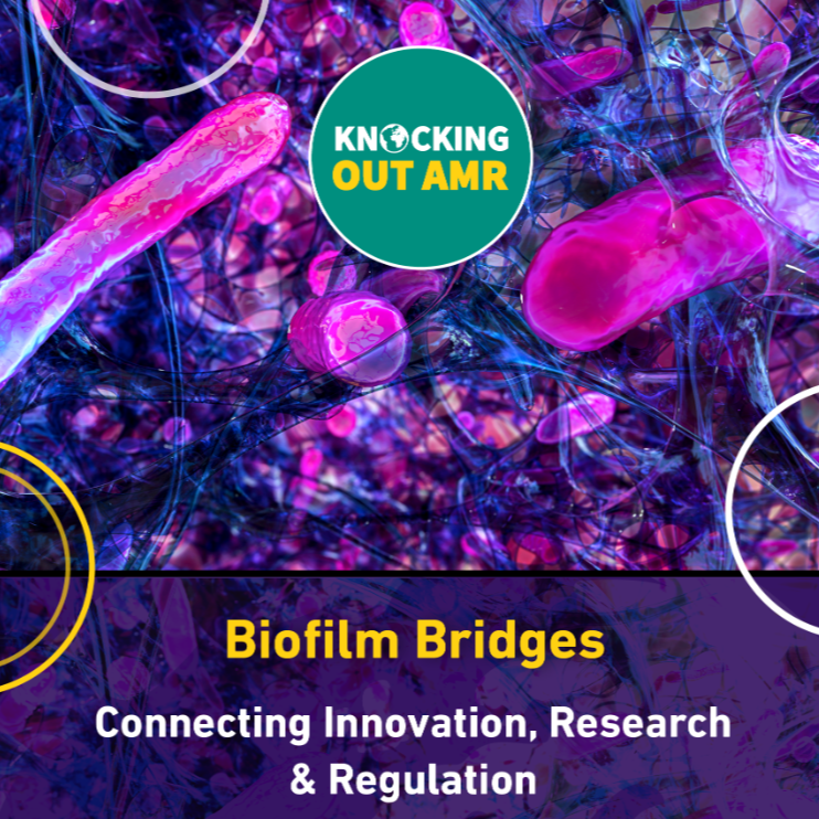 Biofilm Bridges
